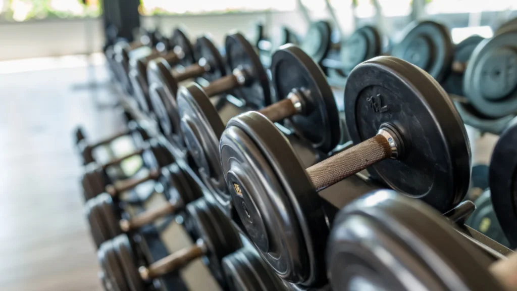 Manubri neri gommati su rack di metallo in una palestra attrezzata.
