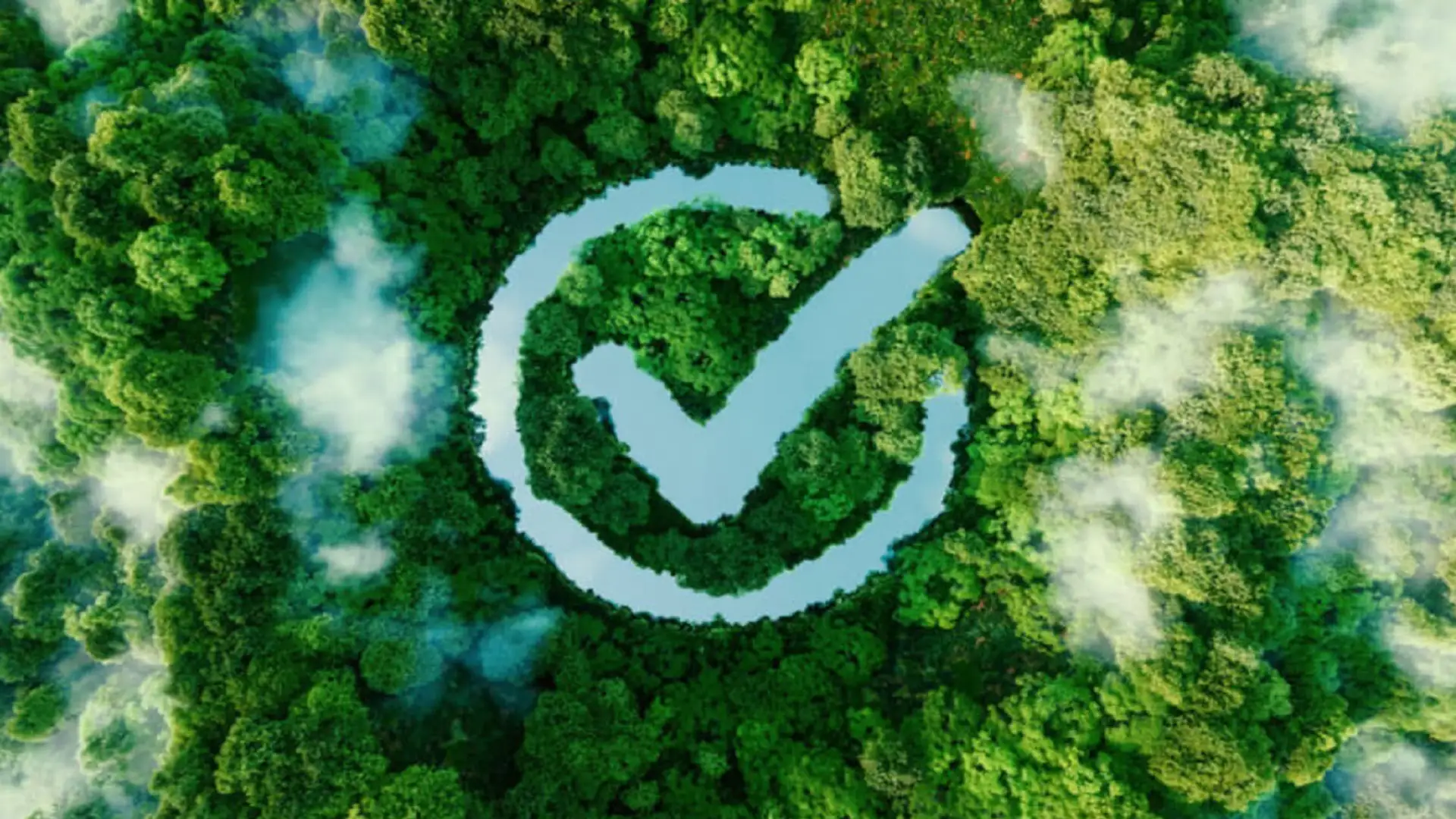 Veduta aerea di una foresta verde che forma il simbolo di spunta della certificazione ambientale.